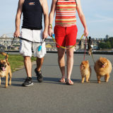 EnglishBay