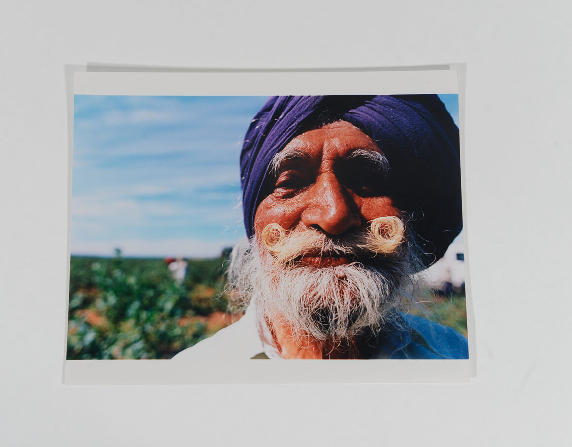 Bearded Man Close Up Landscape Blue Portrait_Blueberry Pickers_2002_75